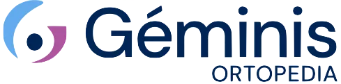 Gemini 1